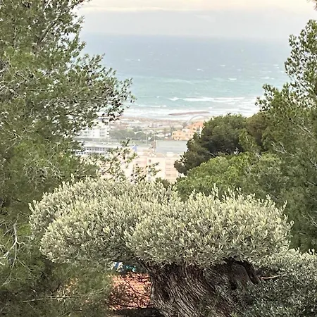 Margaux Prestige Sète